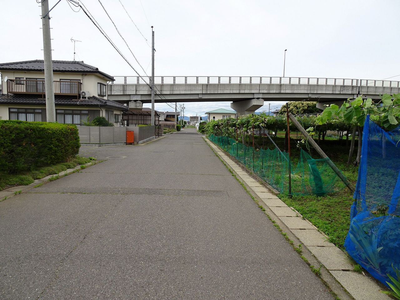 西側道路(南側より)