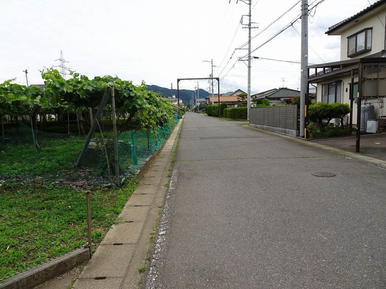 西側道路(北側より)