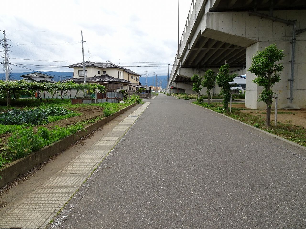 北側道路