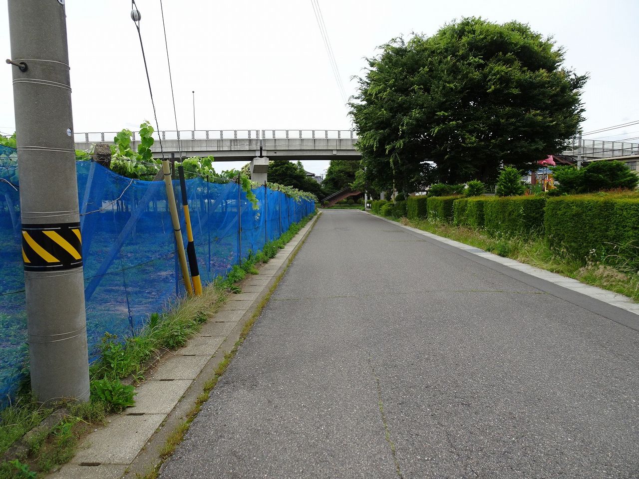 東側道路(南側より)