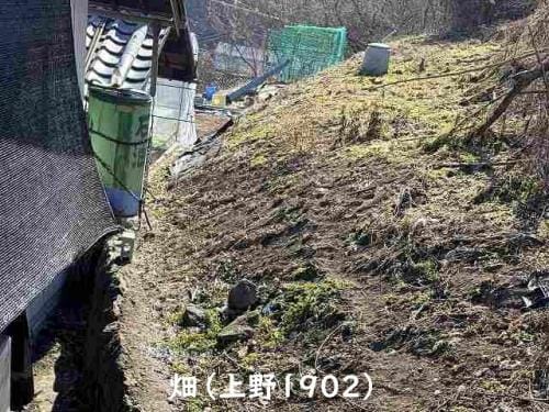現地写真