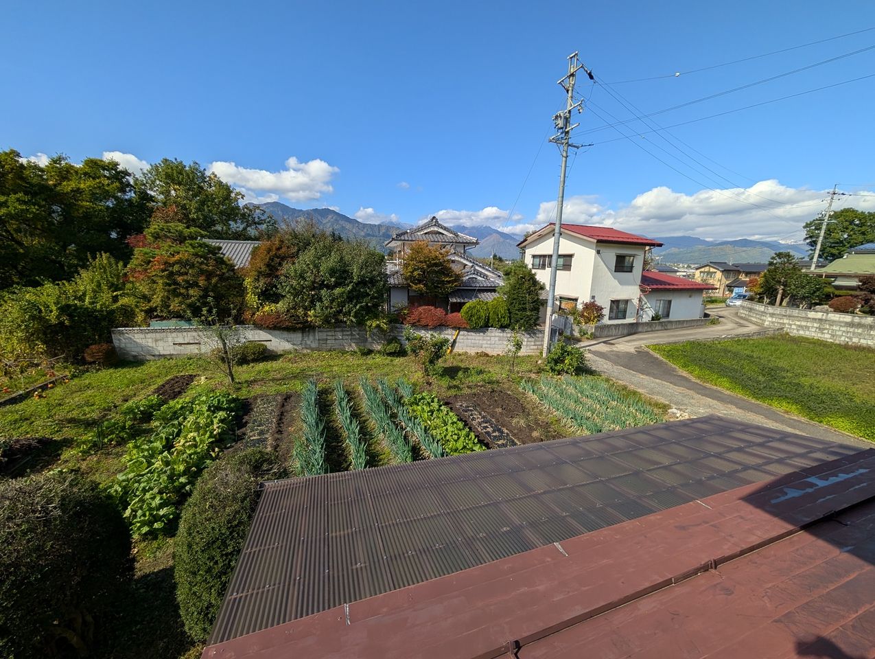 2階から畑の様子を見る毎日