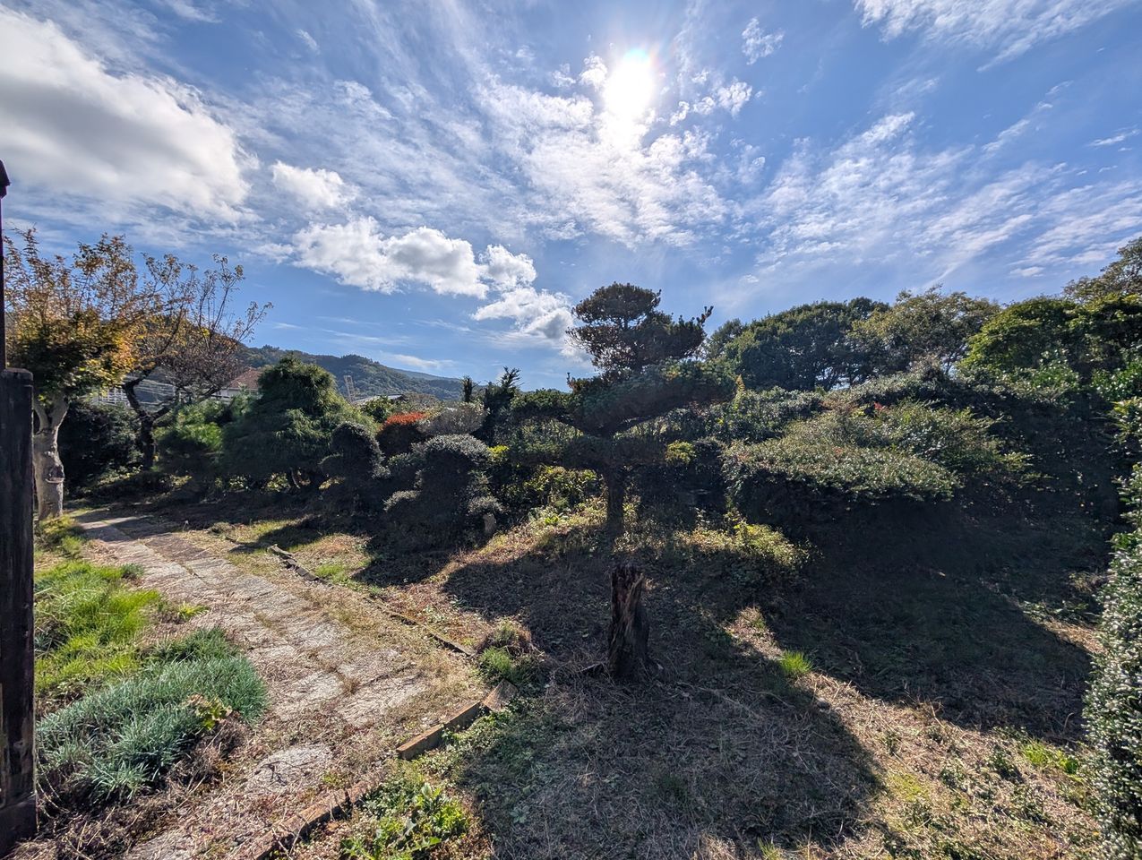 庭も仕上がってます