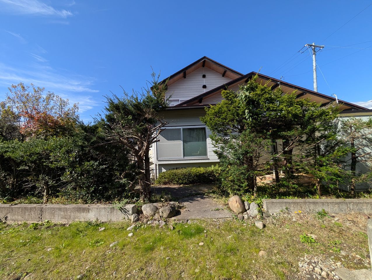 シン・イリグチ