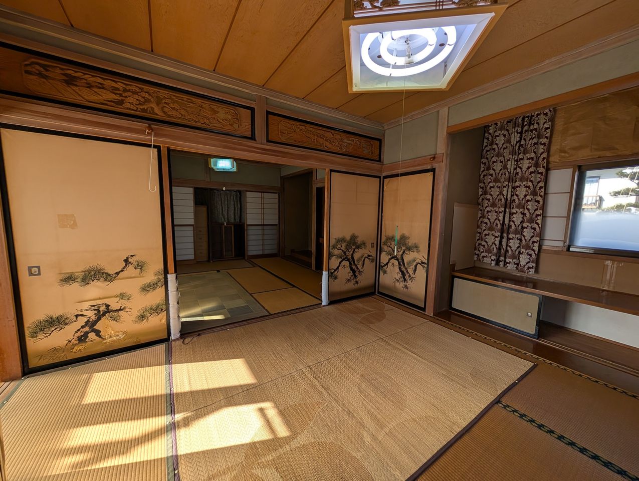 光に寄り添うのさ