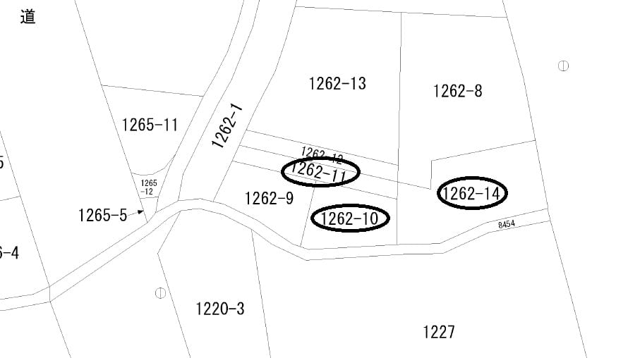 公図おいておきます。