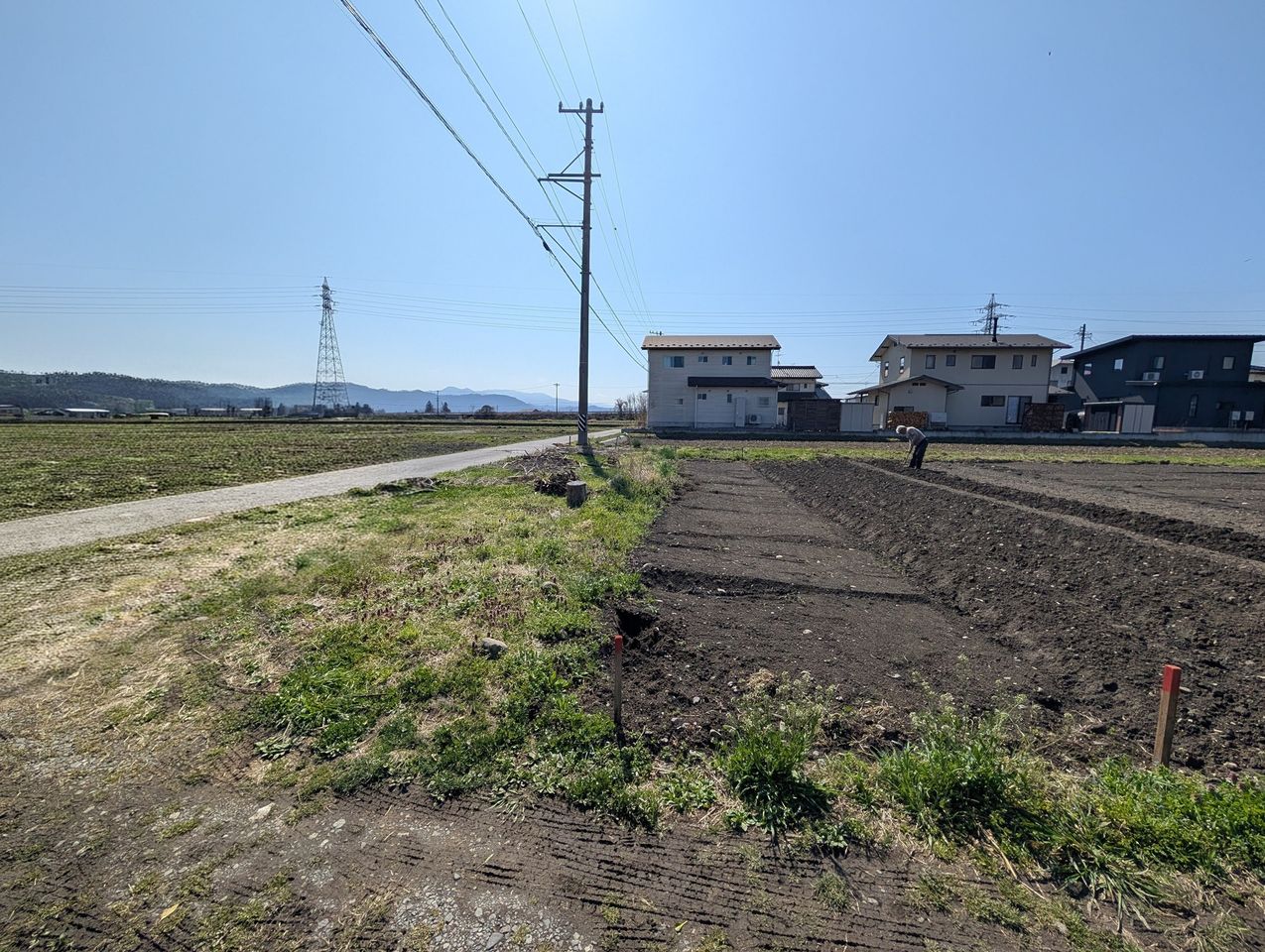 南側畑借りられますヨ