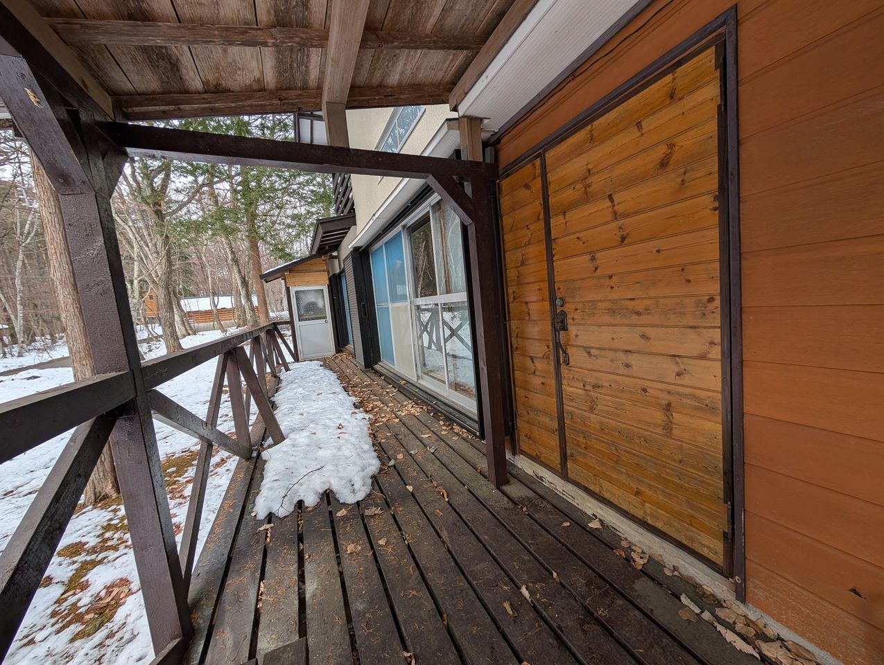 このサイズなら自分で手入れできそうネ