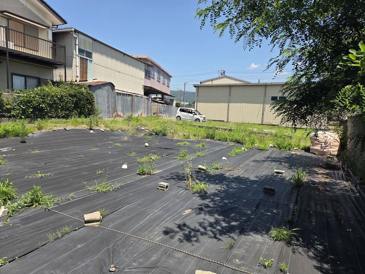 敷地南西から