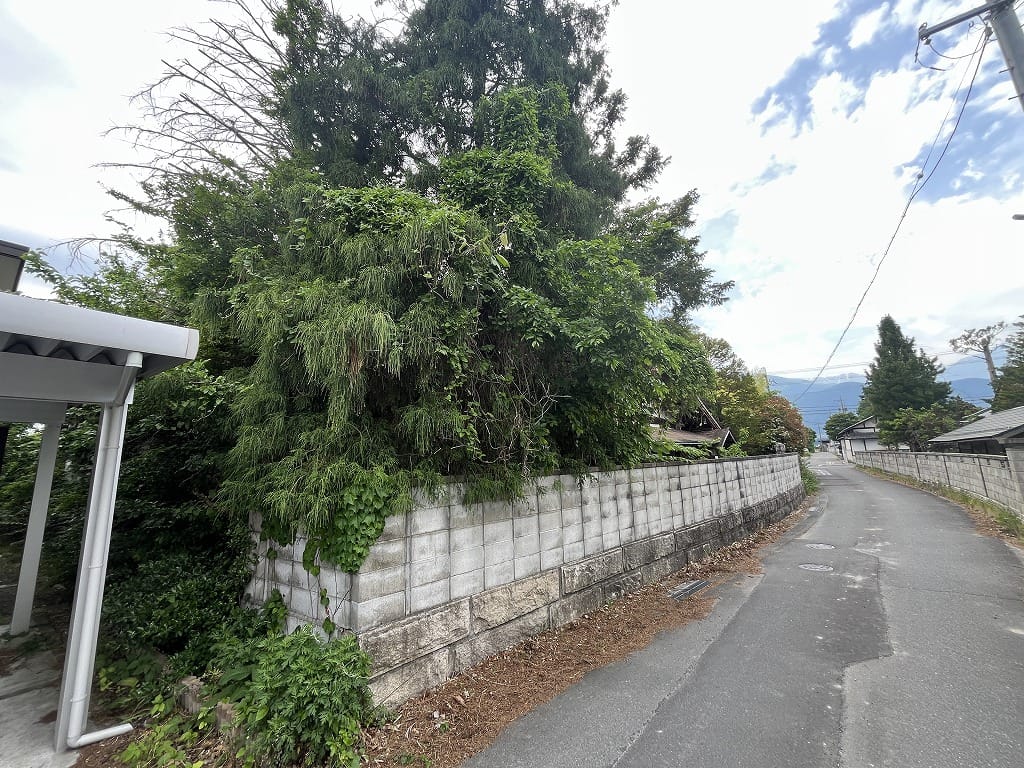 敷地北東角から西方向