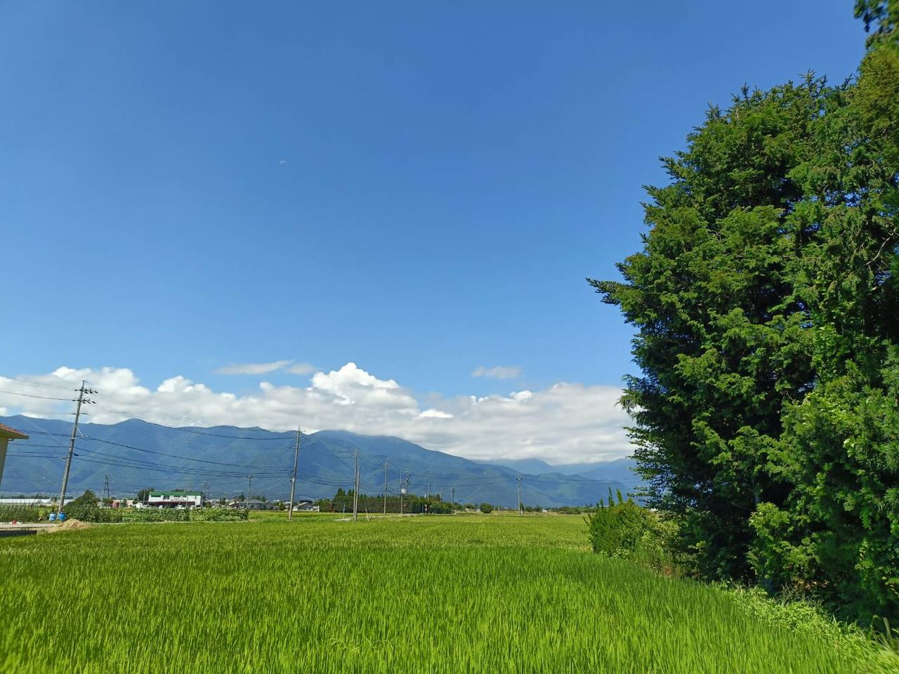西側遠景