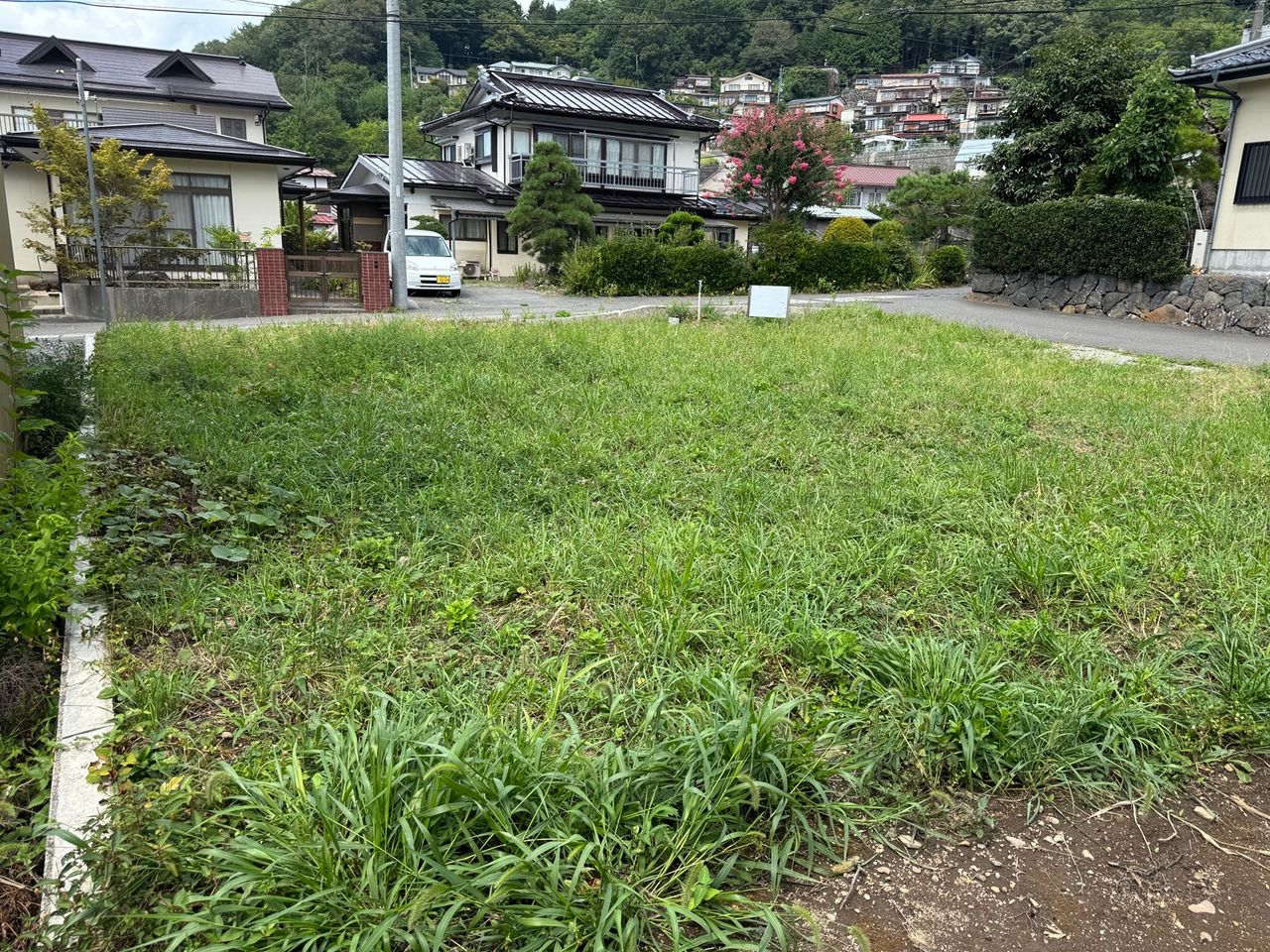 南西側