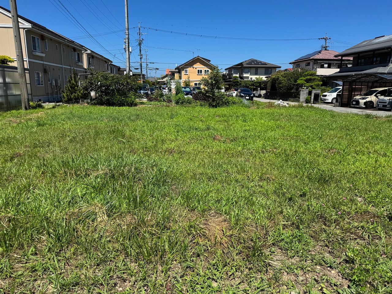 東側から