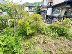 庭 別角度