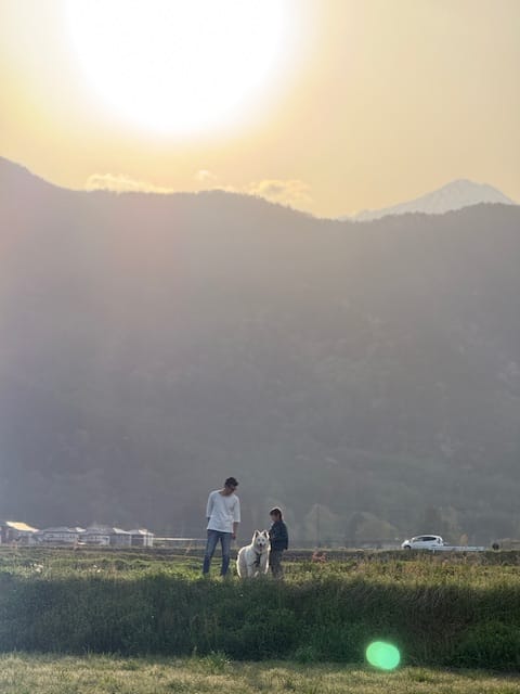 分譲地北西側の田園風景